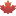 n49 logo